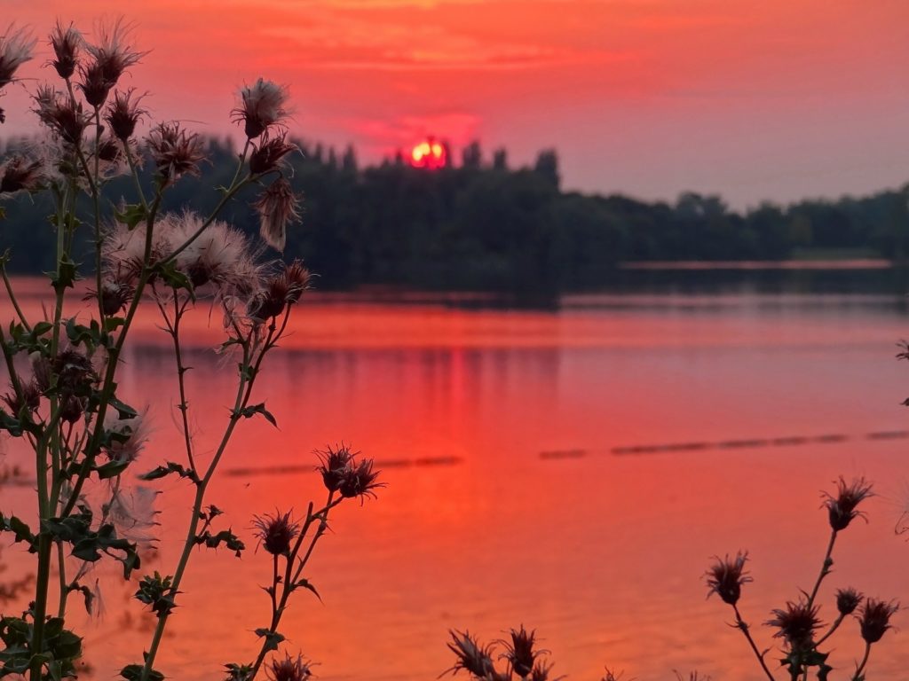 lake