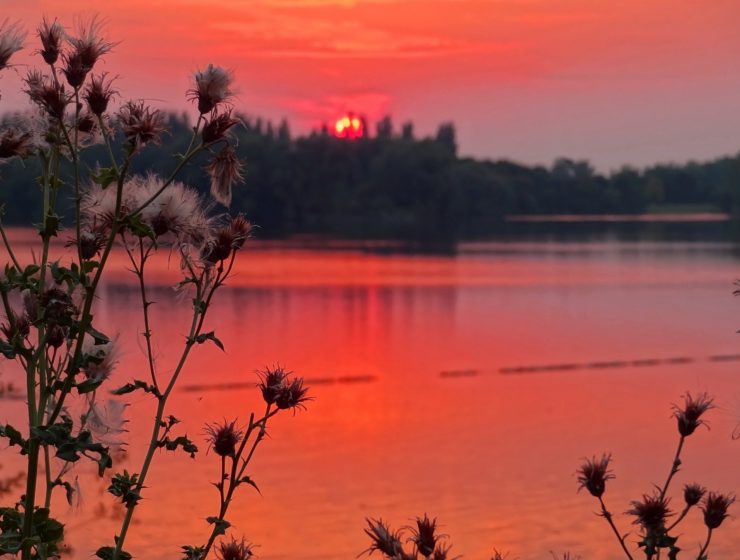 lake