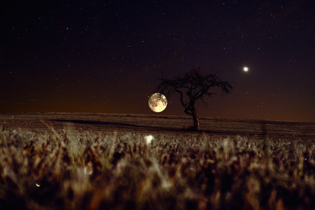 harvest moon