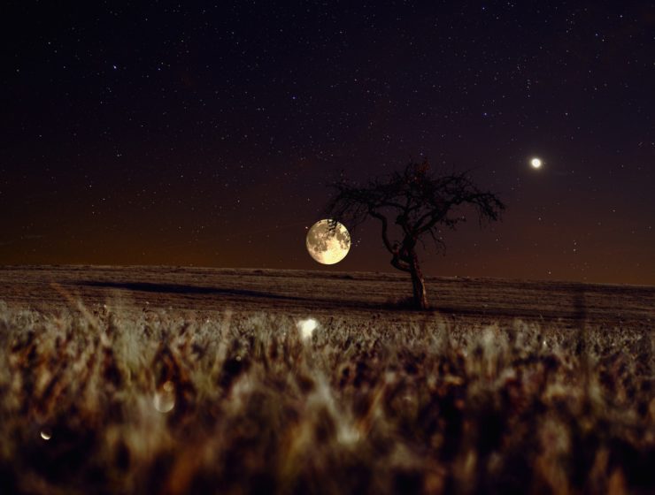 harvest moon